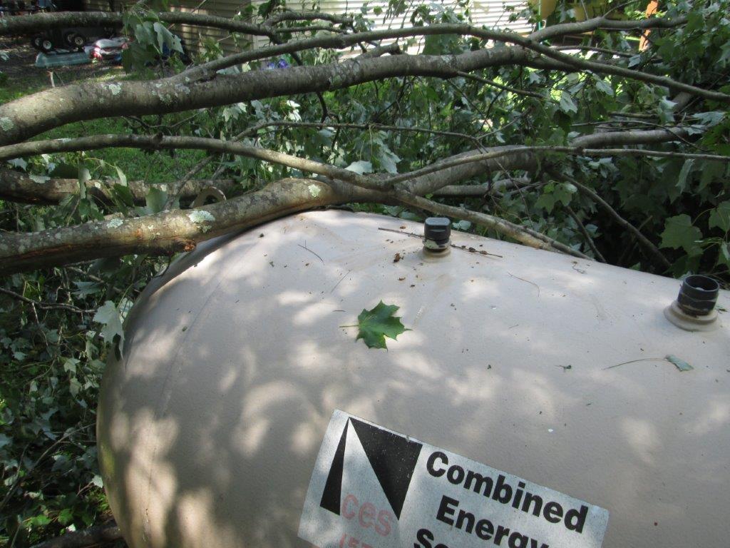 Tree Tank Storm 081120
